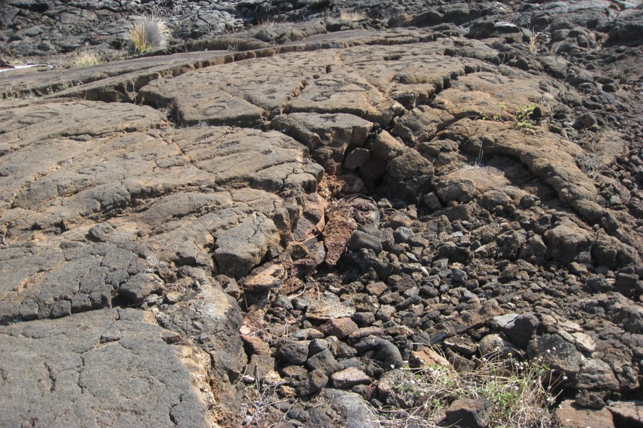 ../image/petroglyphs near waikoloa 2.jpg